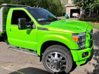 Tamco Paint 1999 Dodge Dakota Toxicity
