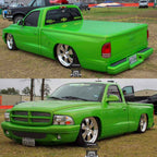 Tamco Paint 1999 Dodge Dakota Toxicity 