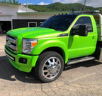 Tamco Paint 1999 Dodge Dakota Toxicity