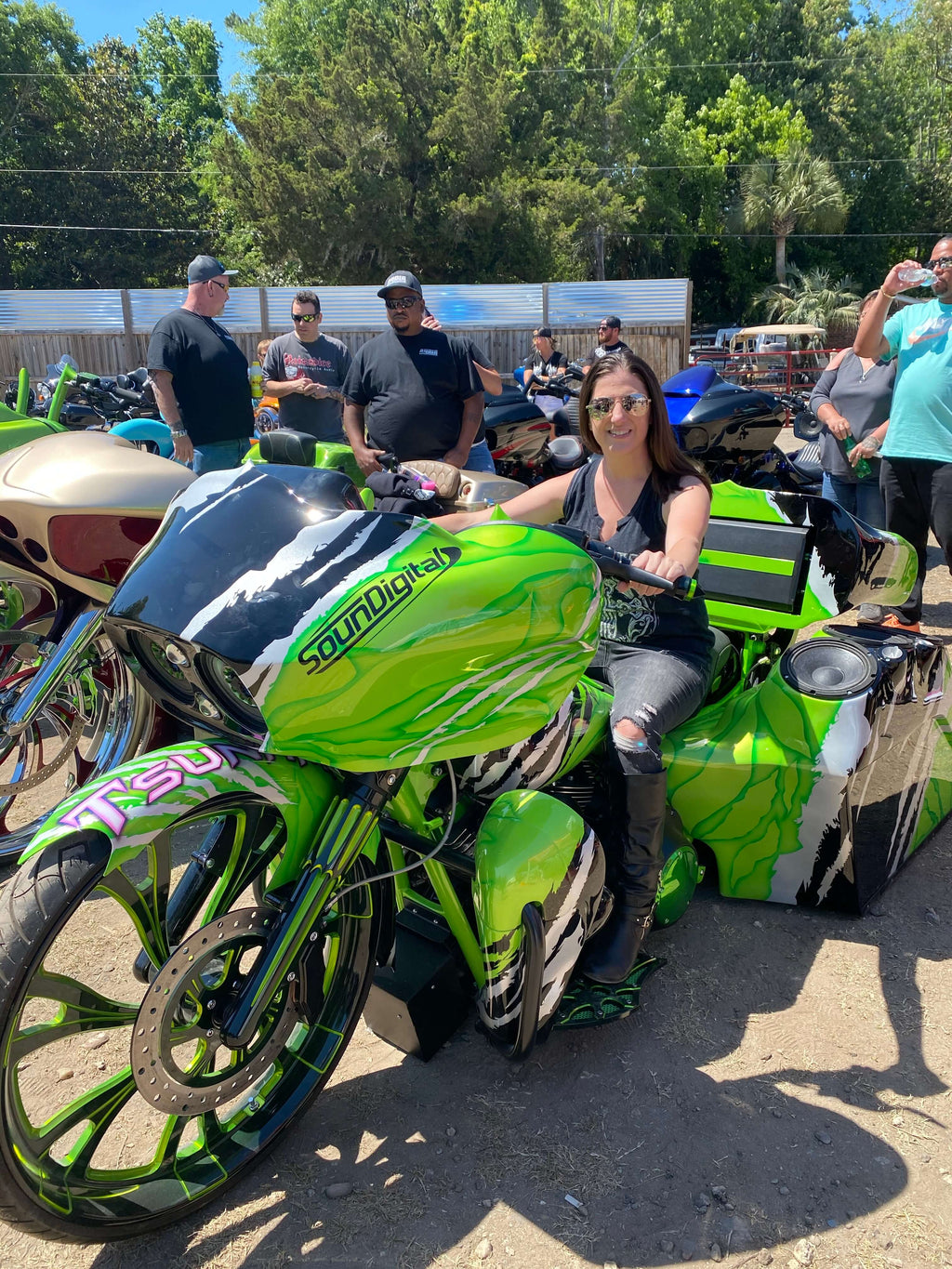 Tamco Paint Harley Davidson Toxicity
