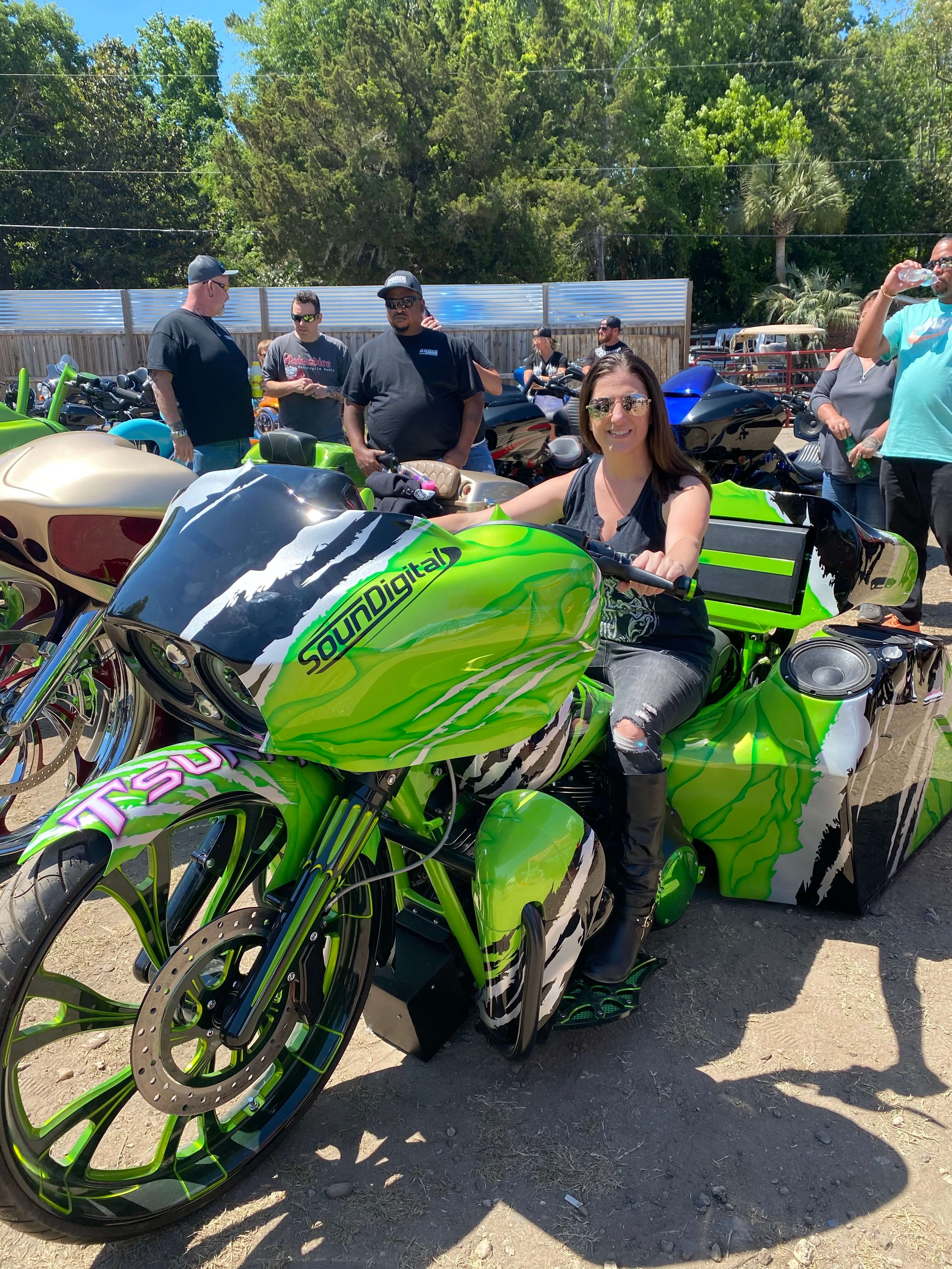 Tamco Paint Harley Davidson Toxicity