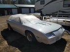 Tamco Paint Toyota Ultra White Pearl on Chevrolet Camaro