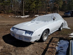 Tamco Paint Toyota Ultra White Pearl on Chevrolet Camaro