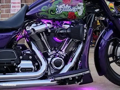 Tamco Paint Harley Davidson Violent Violette