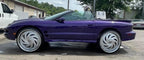 Tamco Paint   1998 Pontiac Firebird   Violent Violette