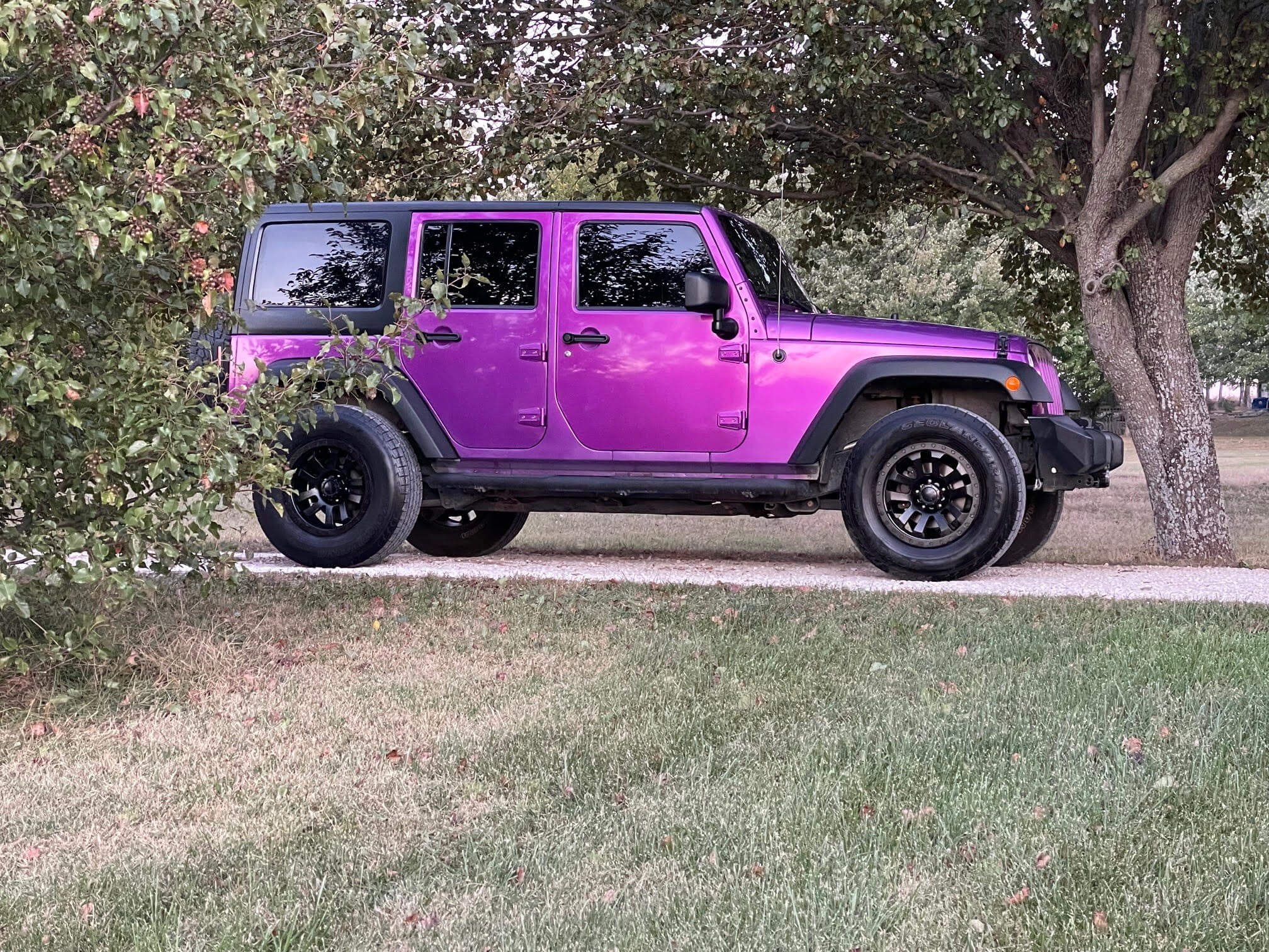    Tamco Paint Car Violent Violette
