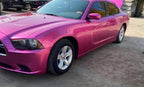 Tamco Paint You Cant Sit With Us Pink on 2013 Dodge Charger