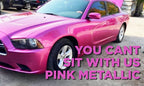 Tamco Paint You Cant Sit With Us Pink on 2013 Dodge Charger