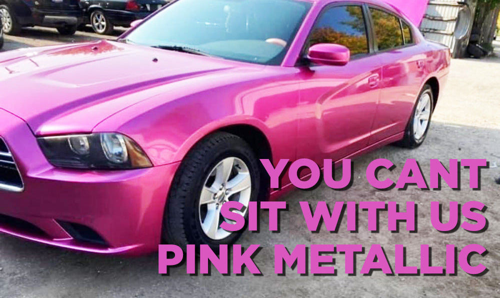 Tamco Paint You Cant Sit With Us Pink on 2013 Dodge Charger