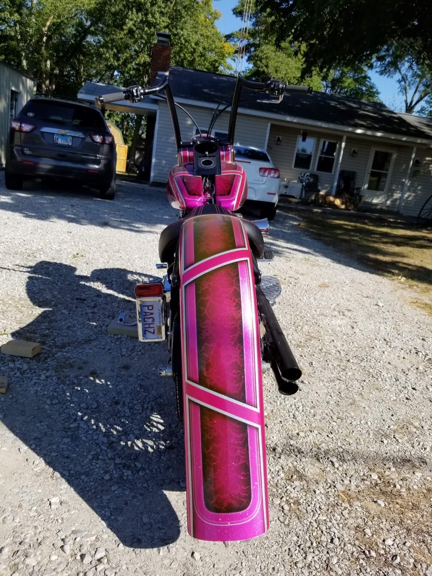 Tamco Paint You Cant Sit With Us Pink on Harley Davidson