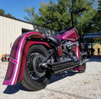 Tamco Paint You Cant Sit With Us Pink on Harley Davidson