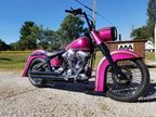 Tamco Paint You Cant Sit With Us Pink on Harley Davidson