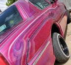 Tamco Paint You Cant Sit With Us Pink on Chevrolet Cadillac