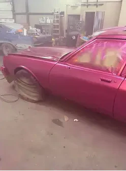 Tamco Paint You Cant Sit With Us Pink on 1973 Chevrolet Caprice