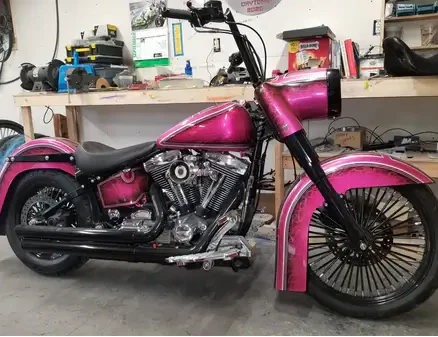 Tamco Paint You Cant Sit With Us Pink on Harley Davidson