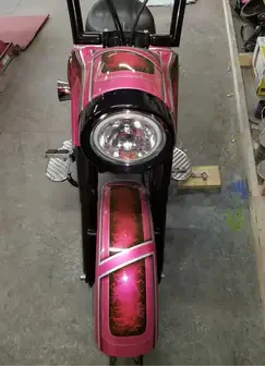 Tamco Paint You Cant Sit With Us Pink on Harley Davidson