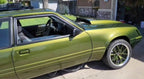 Yuengling Green Ford Mustang