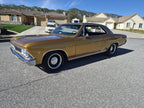 Tamco Paint Goldmember on 1966 Chevrolet Chevelle