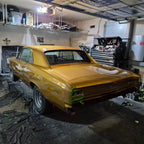 Tamco Paint Goldmember on 1966 Chevrolet Chevelle