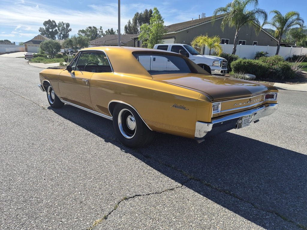 Tamco Paint Goldmember on 1966 Chevrolet Chevelle