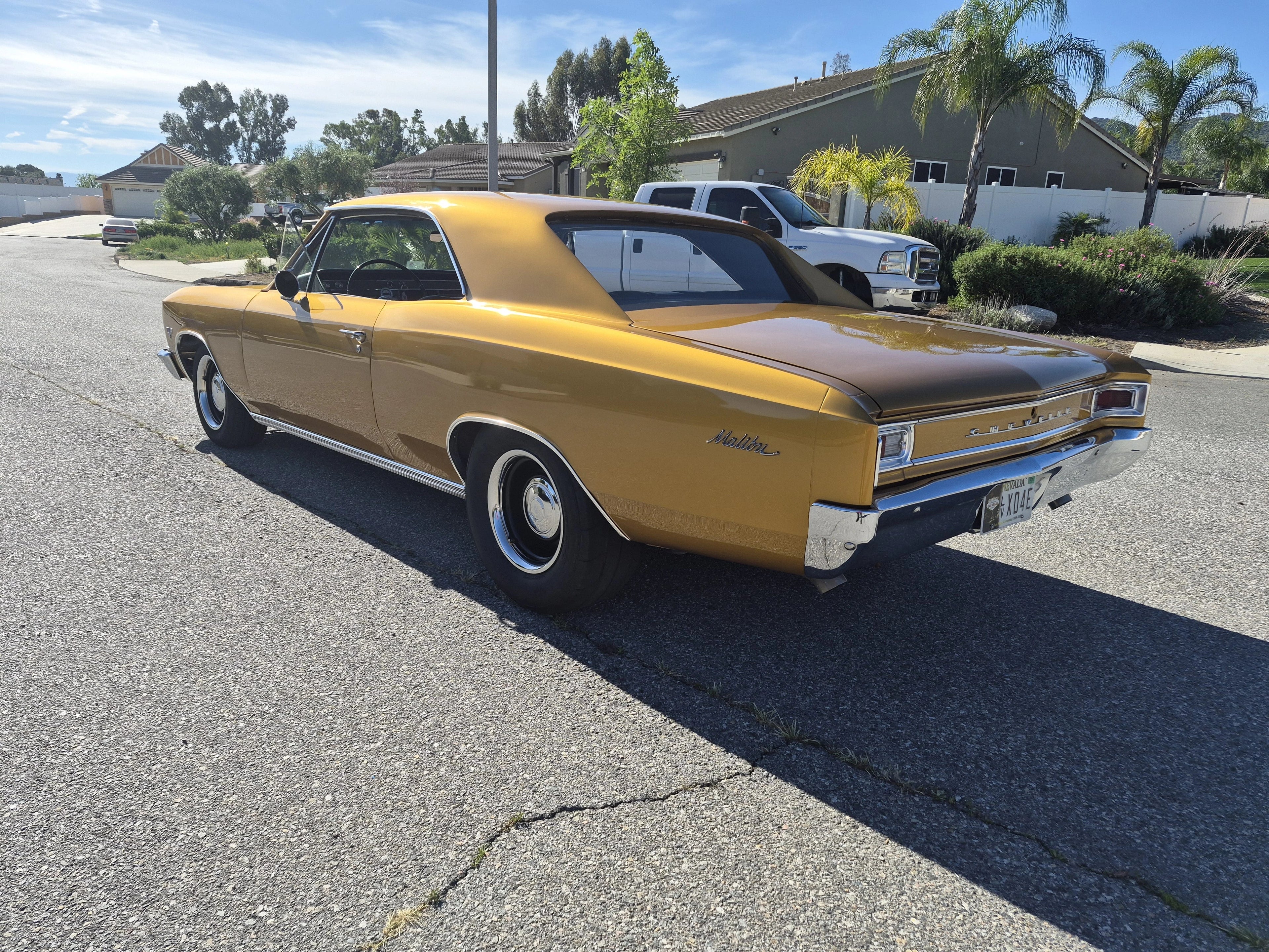 Tamco Paint Goldmember on 1966 Chevrolet Chevelle
