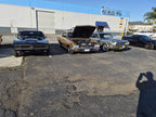 Tamco Paint Goldmember on 1966 Chevrolet Chevelle
