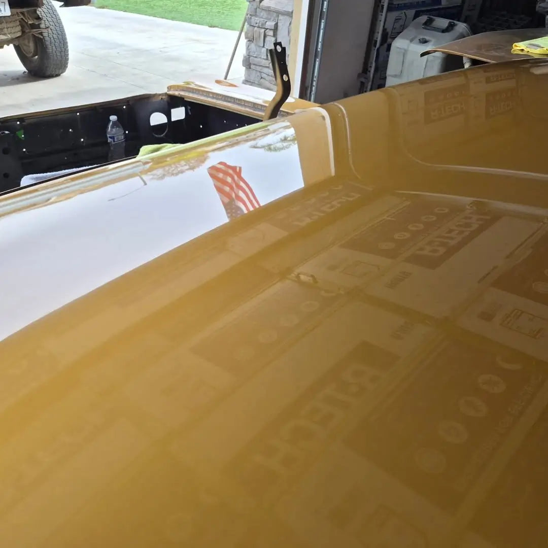 Tamco Paint Goldmember on 1966 Chevrolet Chevelle