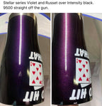 Tamco Paint  Tumbler  Stellar Violet Pearl